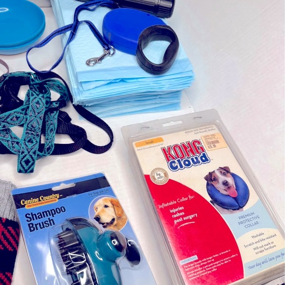 Small dog puppy lot ! - Picture 2 of 4